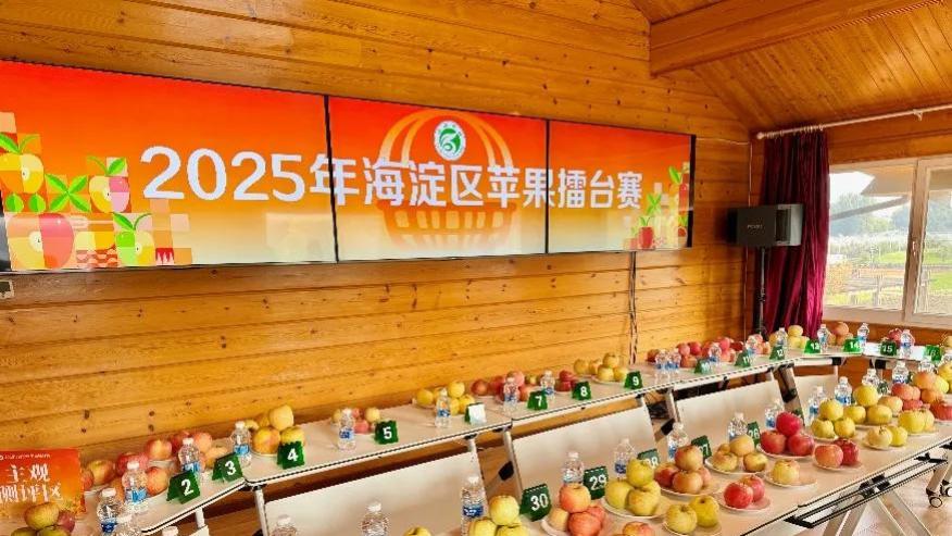 2025年海淀区苹果擂台赛举办，全面展现海淀苹果优良品质