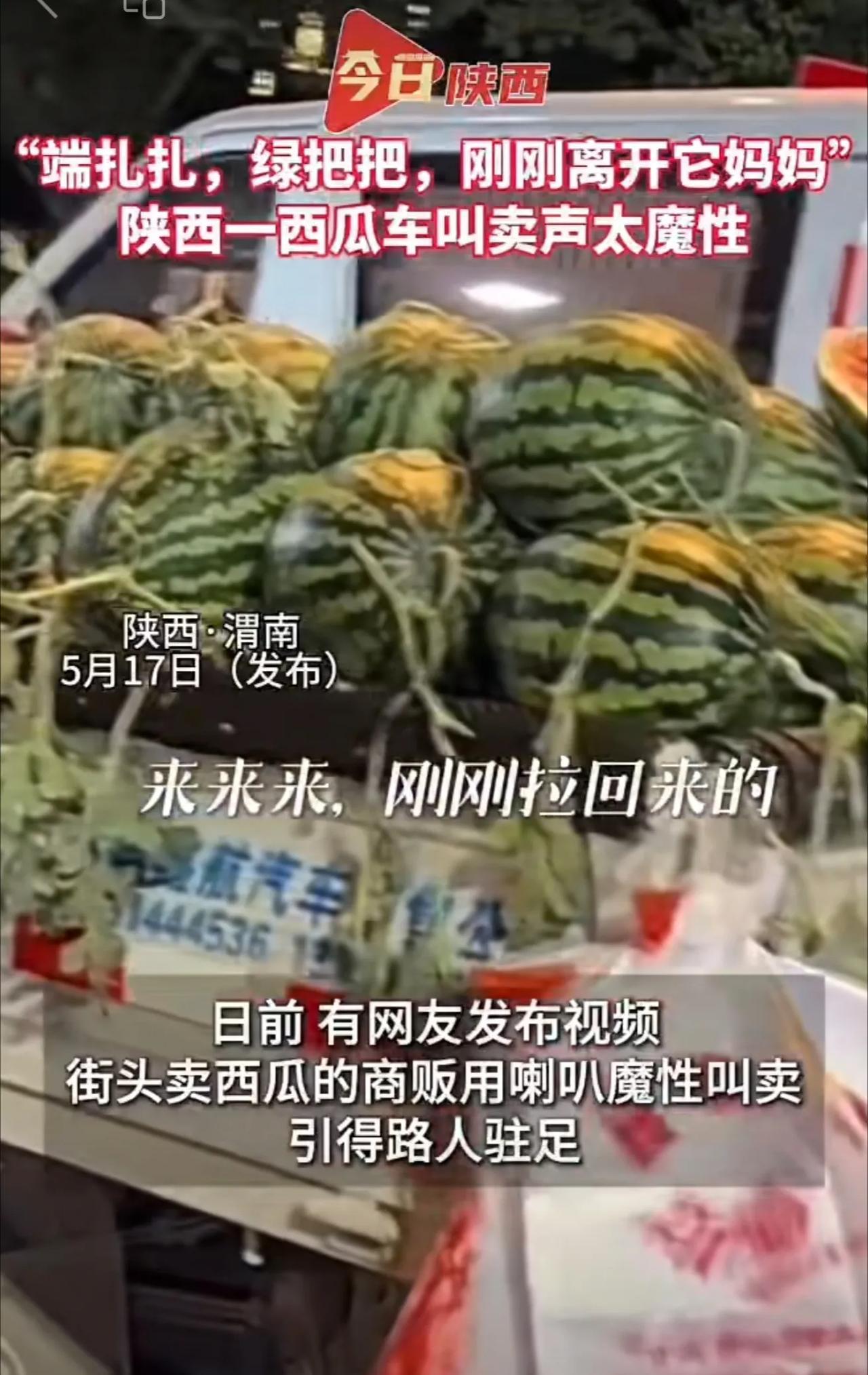 端扎扎，绿把把，刚刚离开它妈妈，陕西一西瓜车叫卖声太魔性#陕西方言#西瓜#夏天#