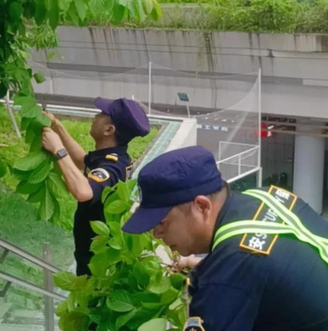 最主要的当然是劳务费抽成。比如甲方单位给公司每人每月5000元服务费，公司给保安