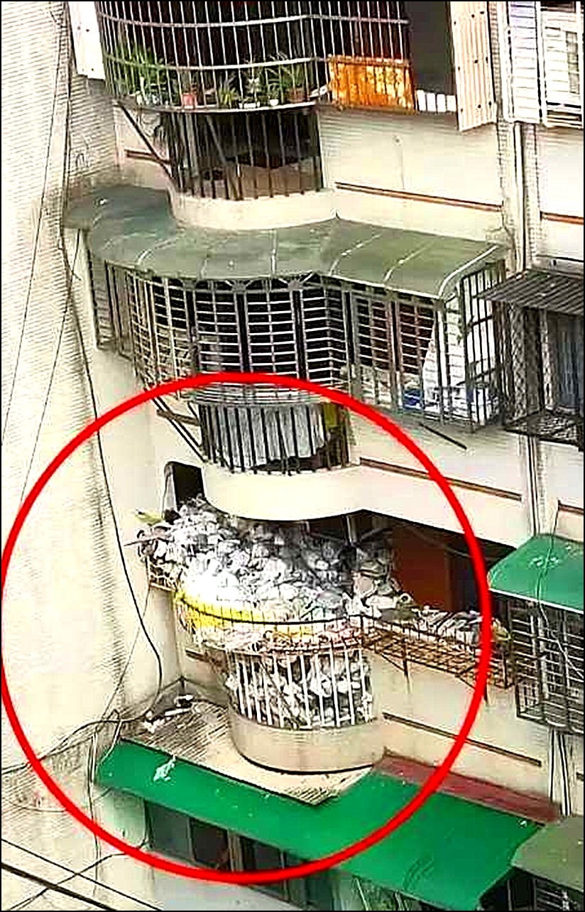 遇到这种邻居，就没点办法治疗吗？