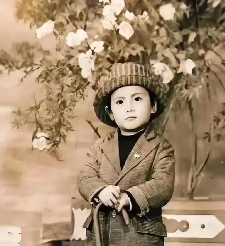 这张老照片里虎头虎脑的小男孩，如今早已成为国民级艺人。
从最初的小品舞台出发，他