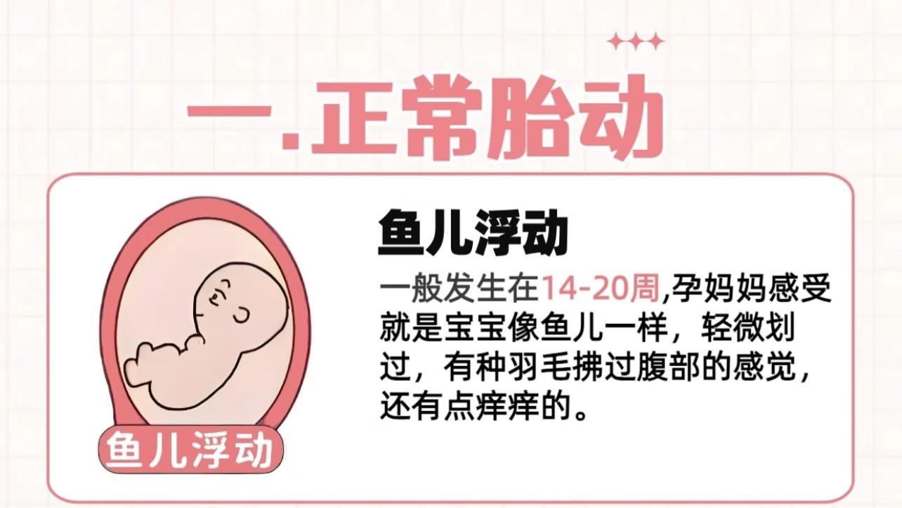 胎动信号大揭秘！孕妈必知的“宝宝语言”