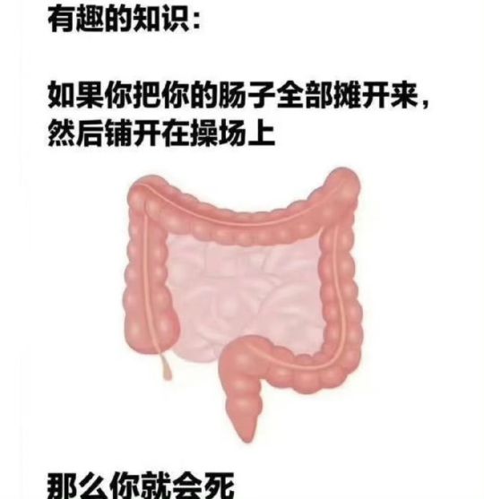 没用的冷知识[doge][doge][doge][doge][doge]