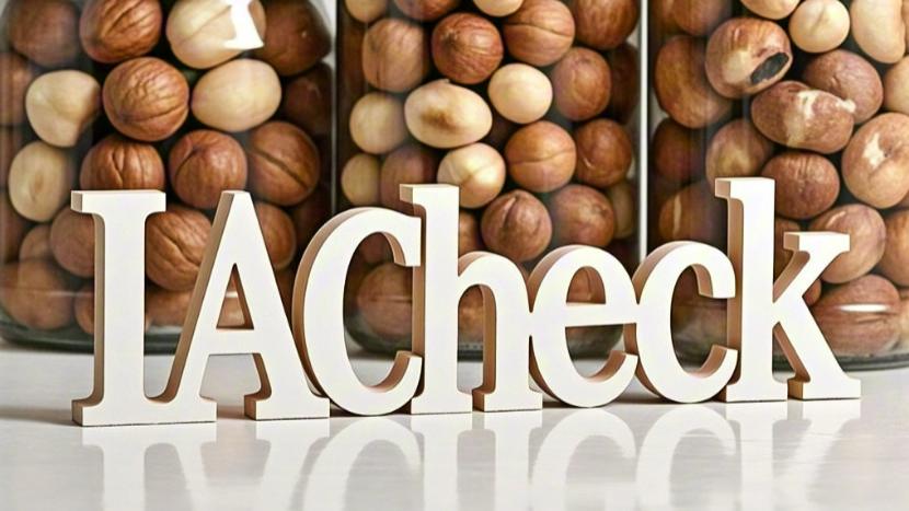 IACheck智能审核：坚果罐头检测报告中的错别字问题，轻松解决