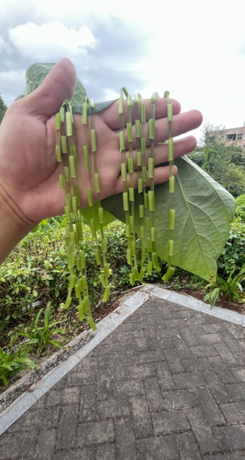玩过的现在都多少岁了？