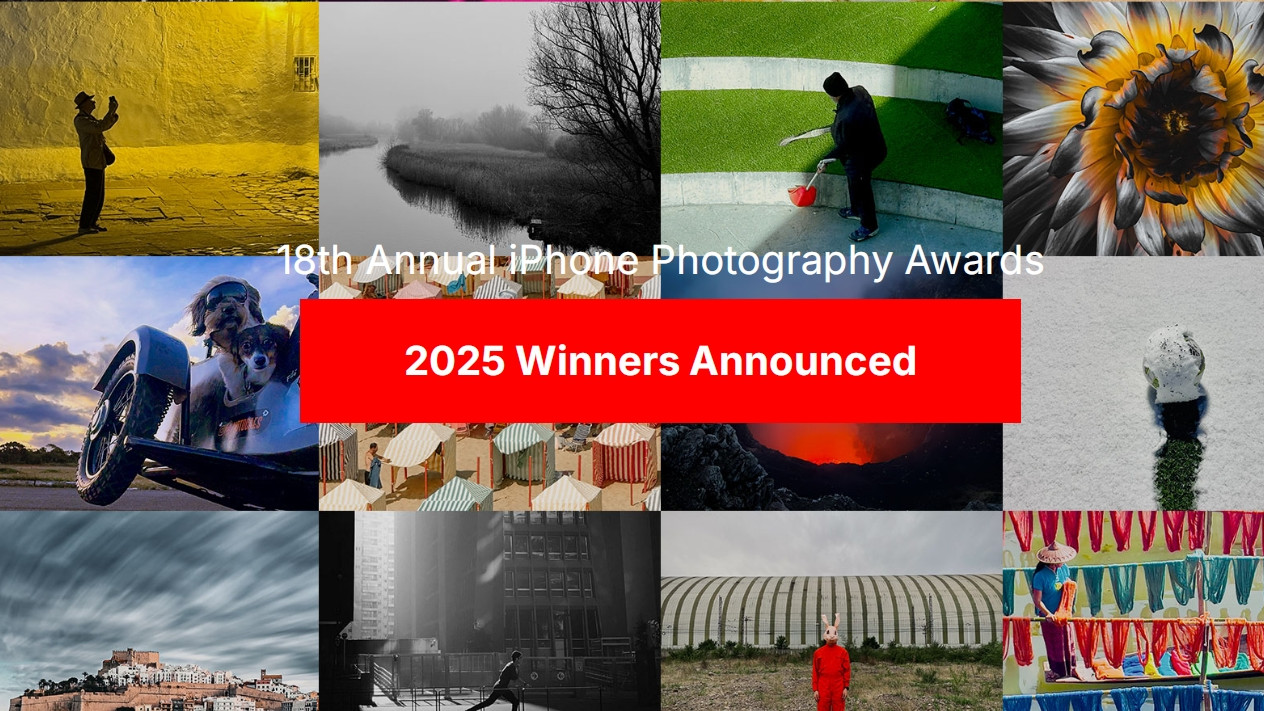 IPPAWARDS | iphone摄影大赛2025获奖作品公布（4）