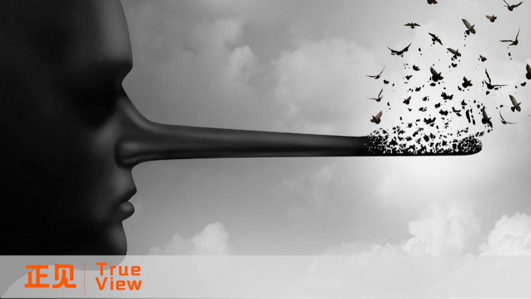 AI竞争陷入“口水战”：企业为何总在制造噪音而非打磨产品？