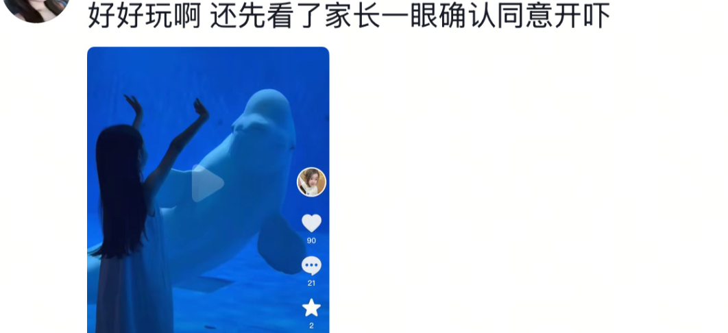 白鲸：这锅我不背