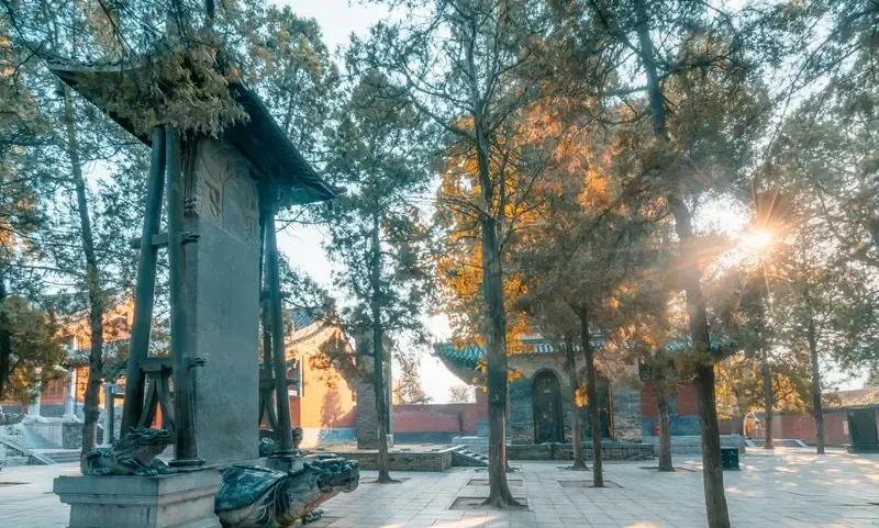 释永信丑闻导致必须要撤销各地佛教协会，大规模拆除寺庙，取消所谓的佛教圣地，所有和