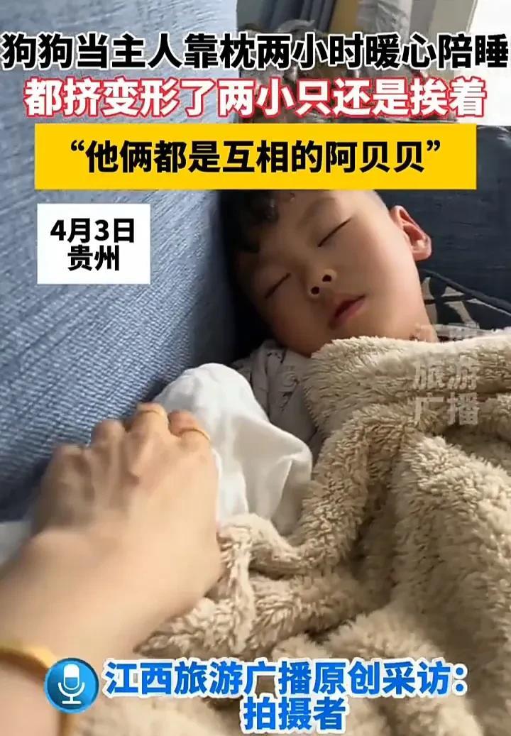 这画面真是太有爱了！4月3日，贵州一名女子发视频称，自己的宝宝在沙发上玩耍时不小