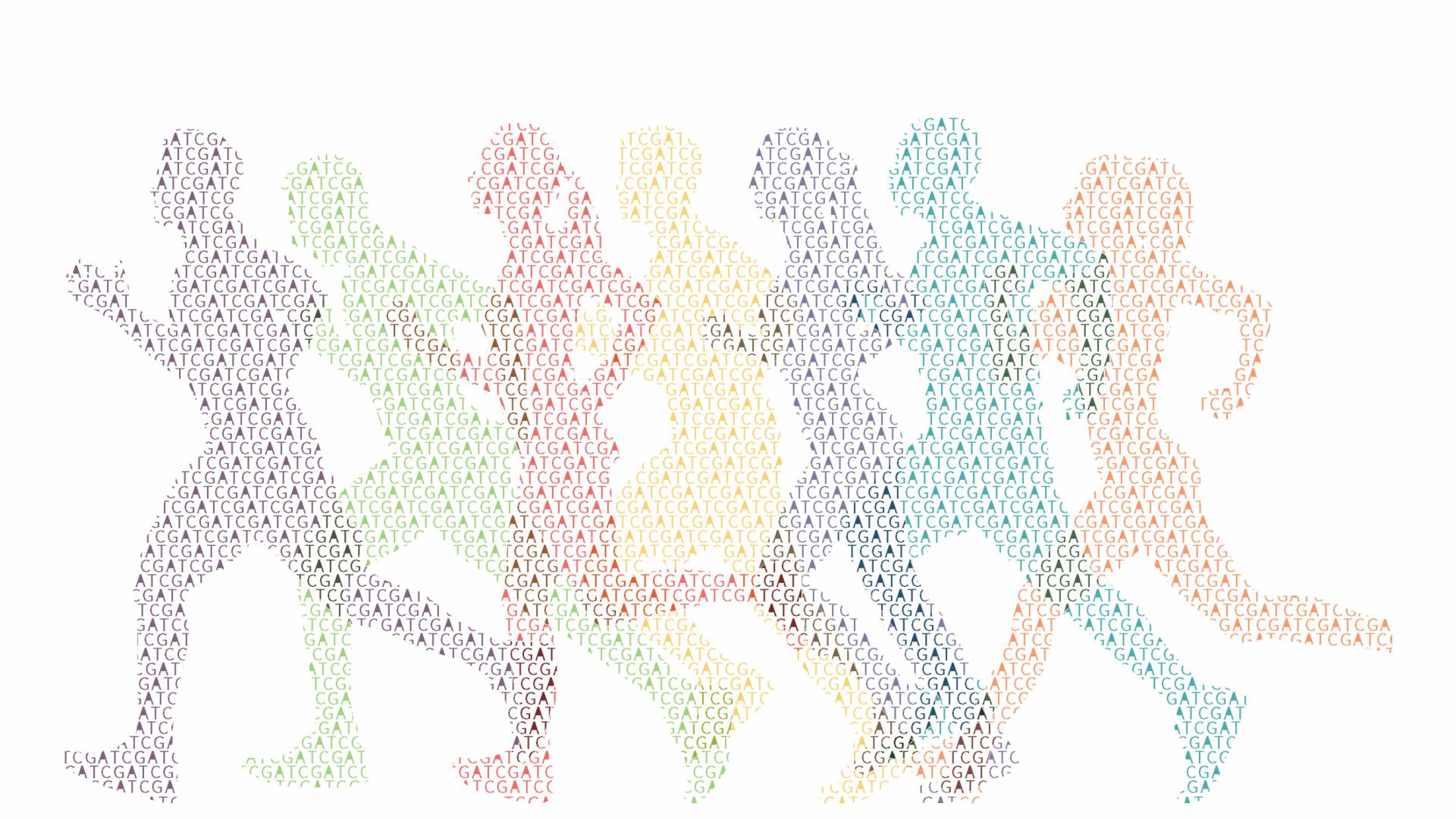 脑桥小脑发育不全12型发生的基因突变多病例统计结果