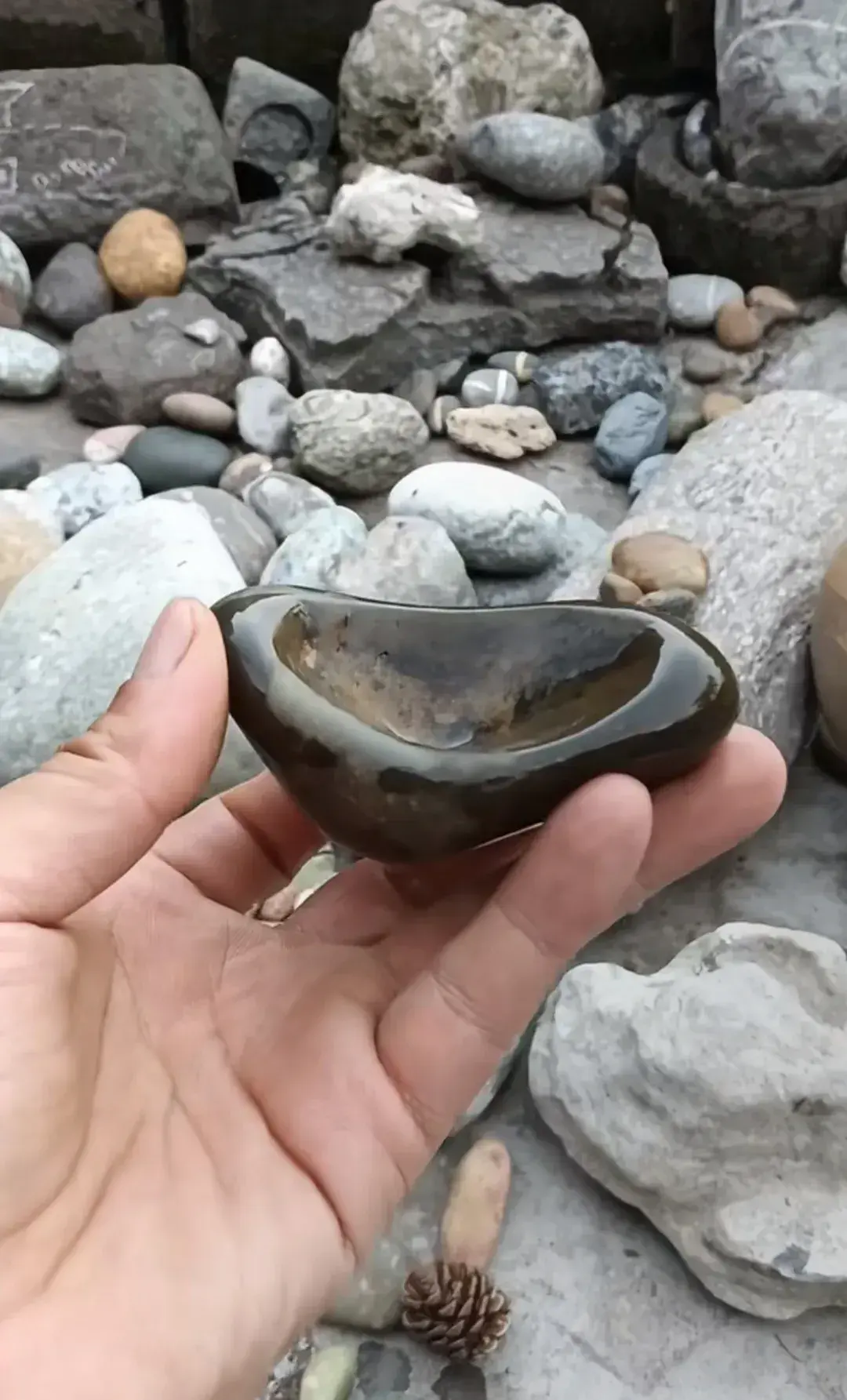 捡了一块这样的石头，用它做什么好呢？