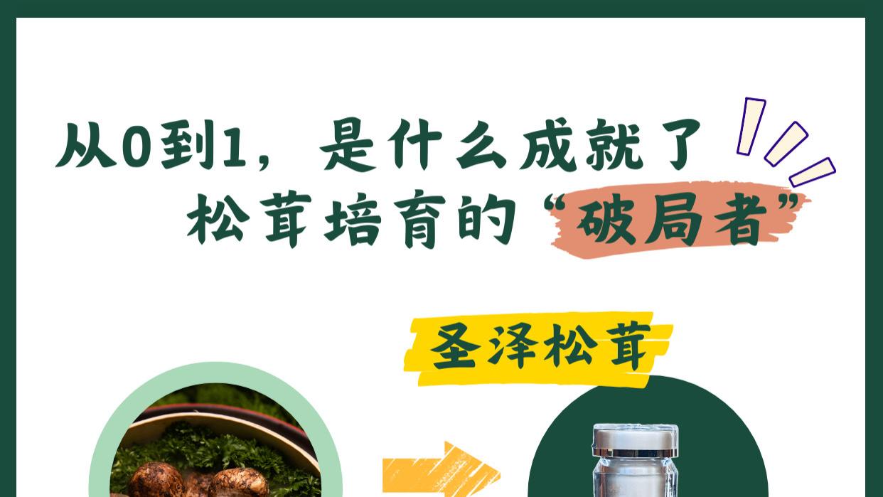 从0-1，是什么成就了松茸人工培育的开拓者