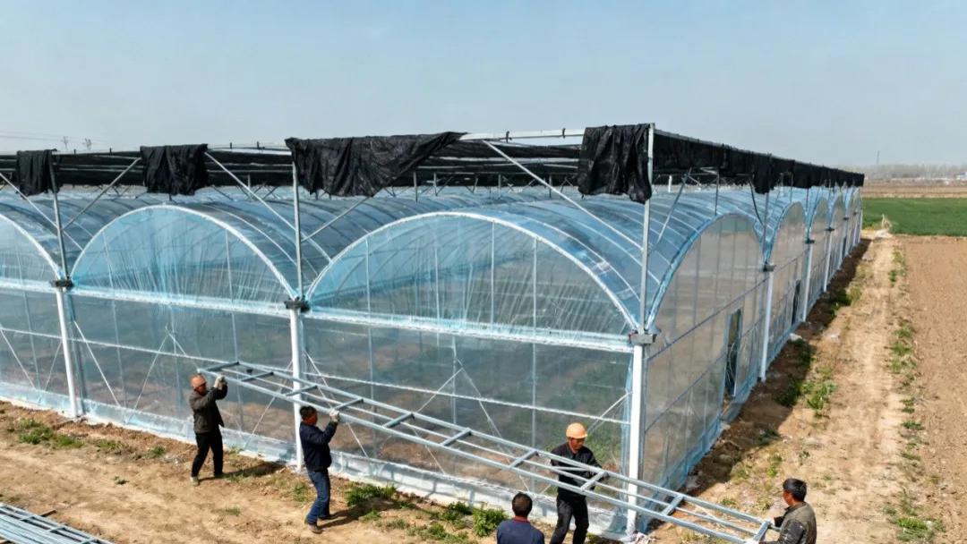 天气转凉，节能保温型连栋温室如何设计，这样做，农户都说好！