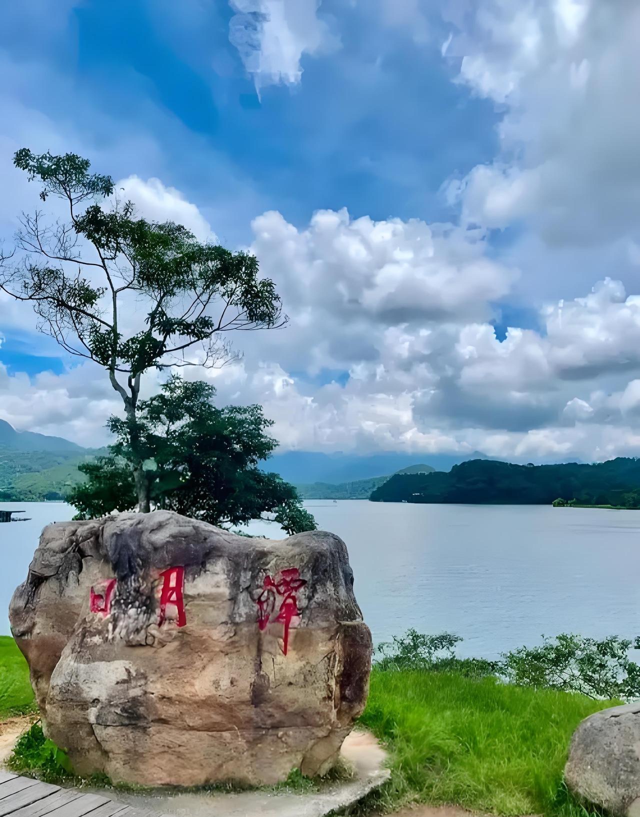 五一，台湾省感到了压力，没有游客，惨不忍睹。
据台旅游部门数据显示，5月1日至5