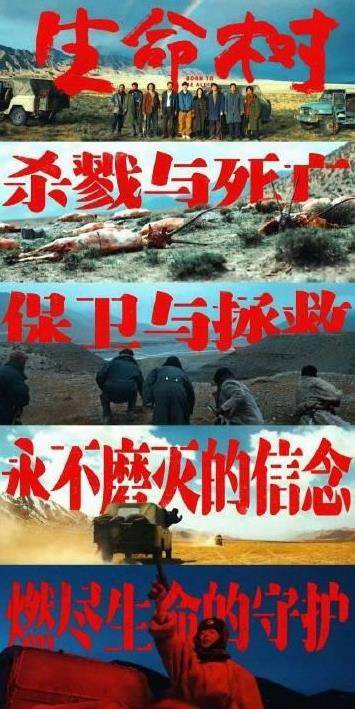 杨紫的生命树也是今天预告片特别喜欢的一部，立意特别的好，故事很大也很小，前几天的