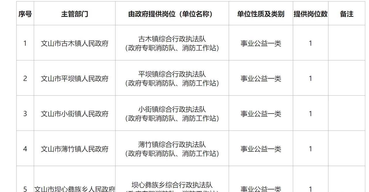【云南省文山市】2025年度（2024年）退出消防员政府安排转岗安置计划的公示