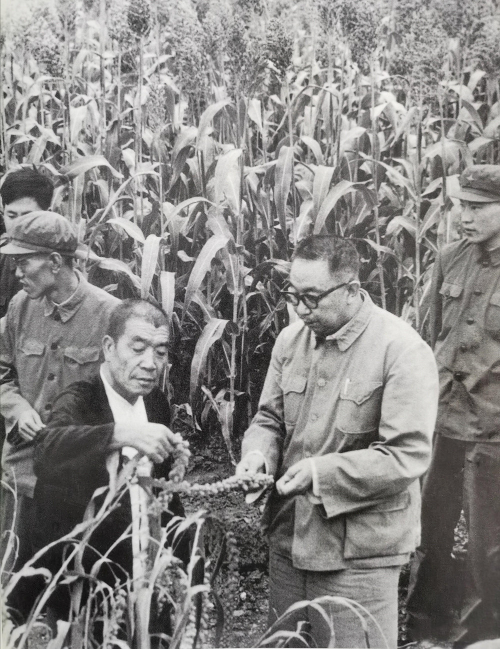 1975年9月，华国锋来到山西昔阳县李家庄公社，查看农业生长情况，他特意戴上了眼