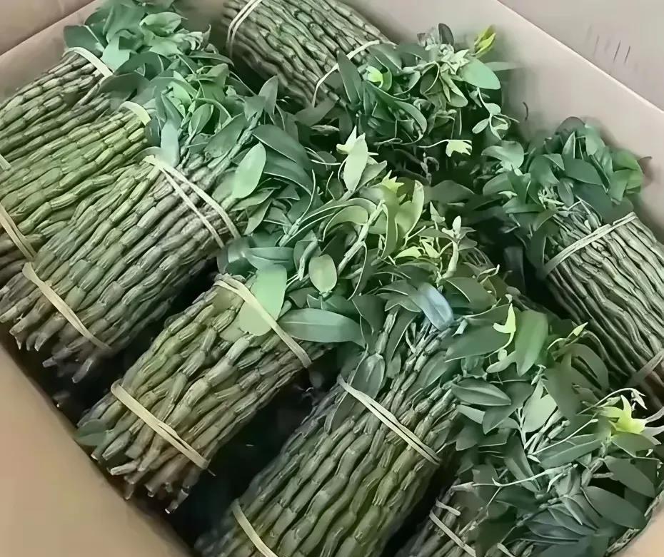 这是广西朋友寄过来的，她说是她家乡的一个特产。看了半天也不知道这个是什么菜，长得