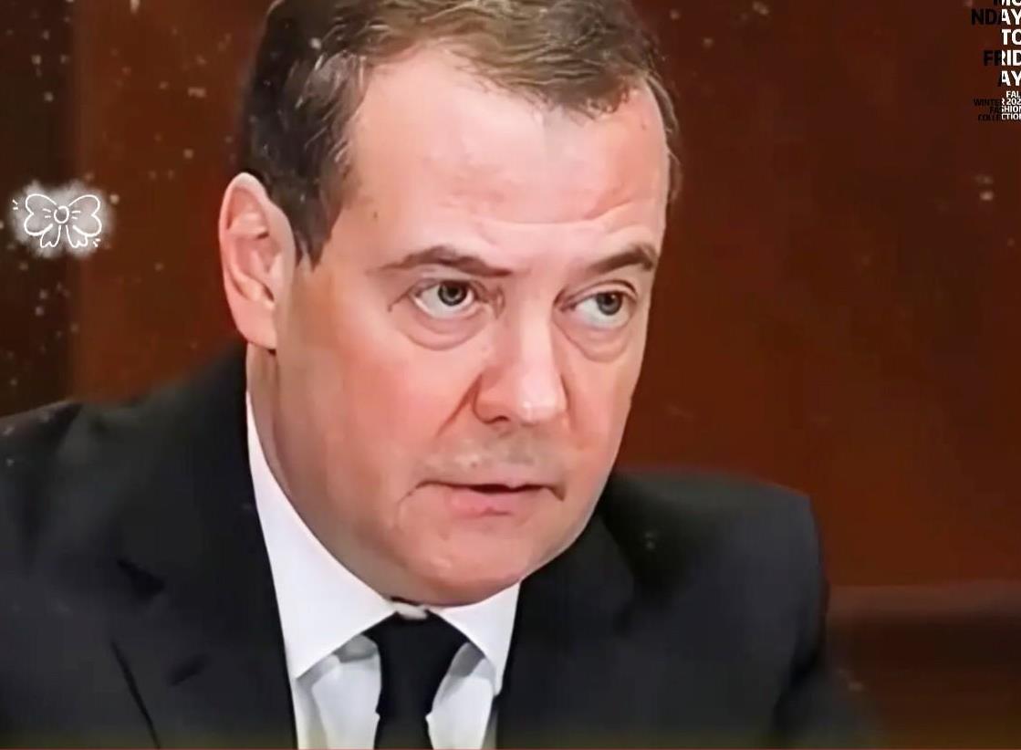 彻底发怒了！
俄罗斯联邦安全会议副主席梅德韦杰夫在公开场合严肃表态，西方国家从利