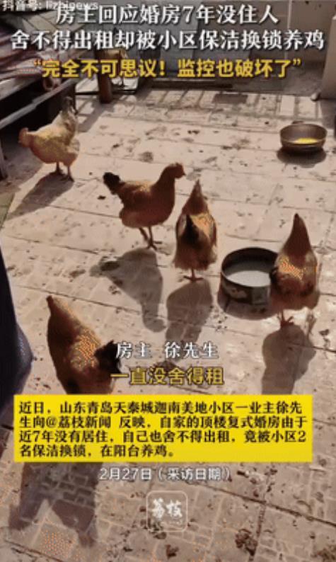 “胆子真大！”山东青岛，一男子的婚房近7年没人住过，装修挺好的也不舍得出租，没想