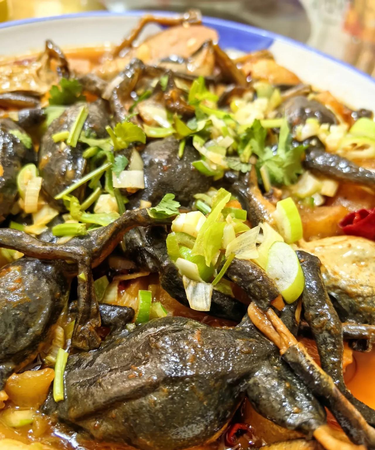 #我的宝藏兴趣# #发优质内容享分成#        伊春的春天，一向都是吝啬的