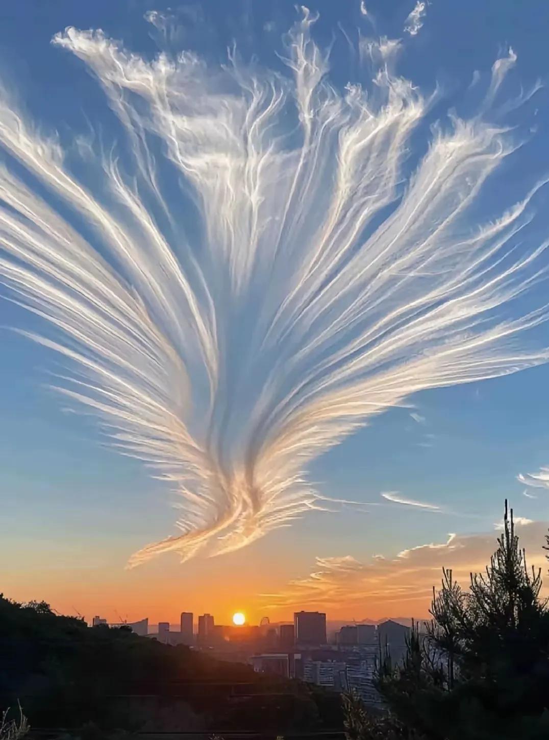 凤凰传奇