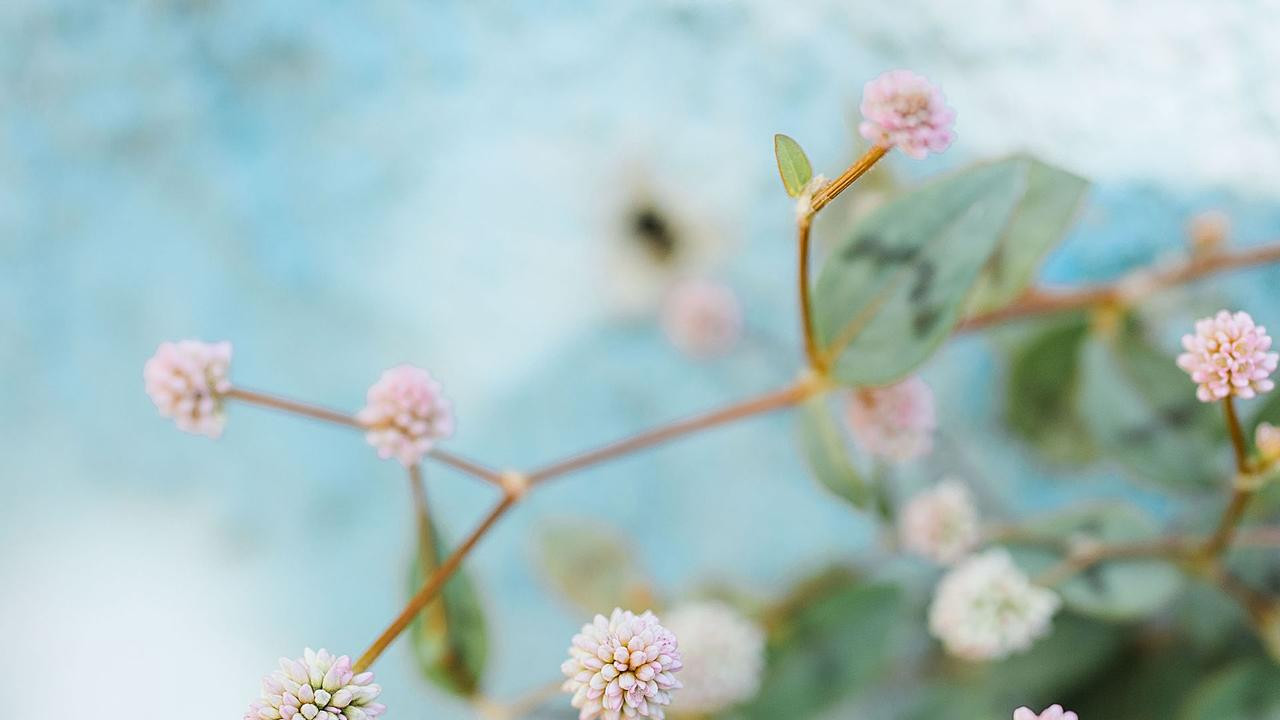 重生七零何远顾雯雯《重生七零》何远轻笑一声，将煤油灯拿起之后，便往旁边的屋子里的灶台走去