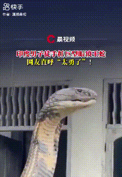 印度男子徒手抓蛇真大胆











**文章：**








