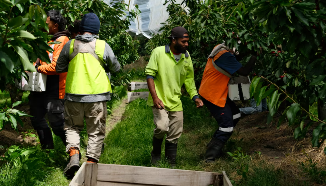 报告：太平洋劳工存在被剥削问题