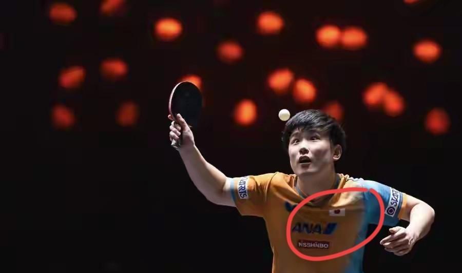 张本智和是怎么一步一步走到不受欢迎的地步的。
说句实话，张本智和最初还是很受中国