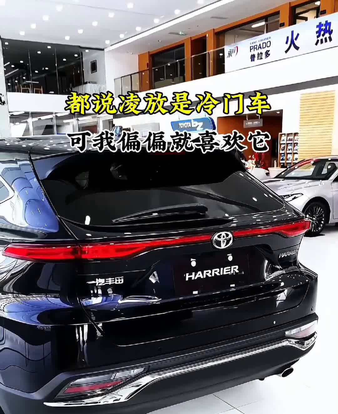 都说凌放是冷门车，可我偏偏就喜欢它。