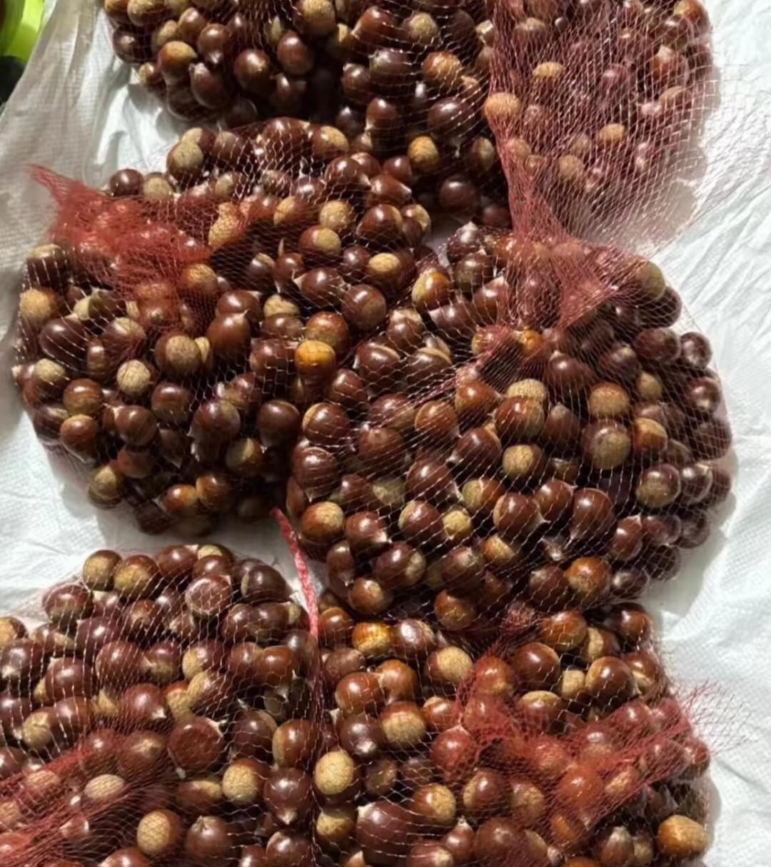 我有个山东海阳的朋友，家里是种板栗的，每年这个时候我都得从他那多囤几包。结果每次