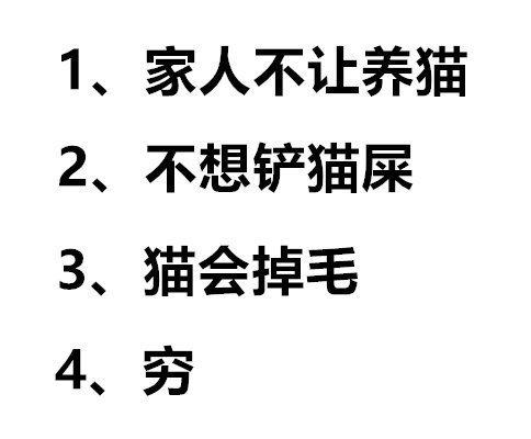 喜欢猫却不养猫的原因!