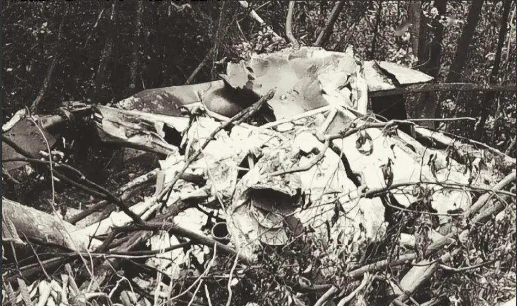 1996年，2名广西农民上山采药时迷路，兜兜转转找路过程中，突然发现迷雾深处传来
