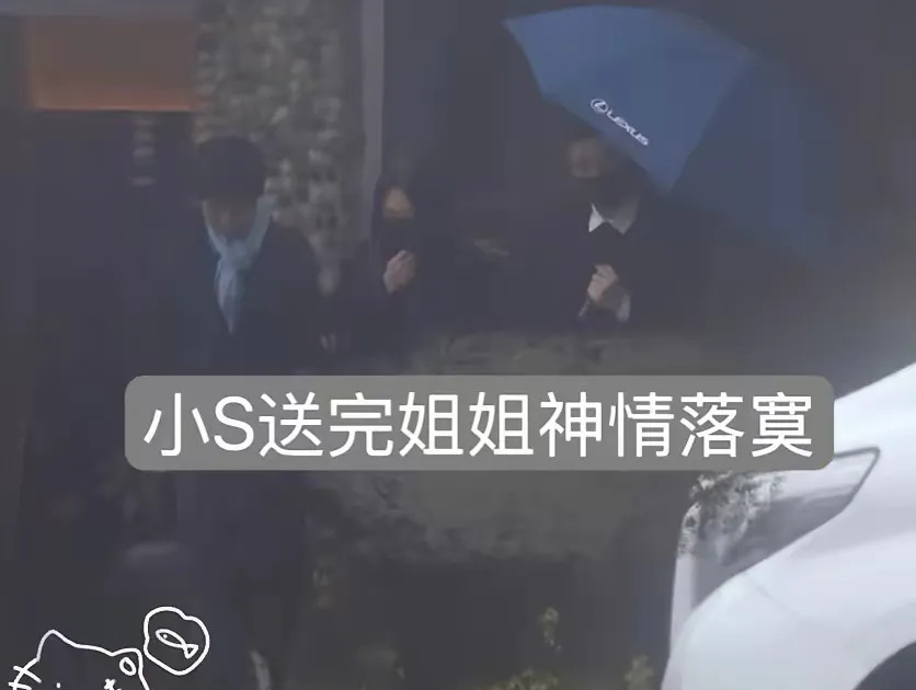 小S穿高跟鞋送别姐姐











我的天哪！小S这是怎么了？参加姐姐的