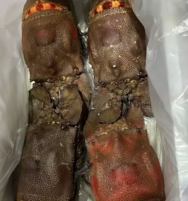 第一次上门见家长，岳父送的