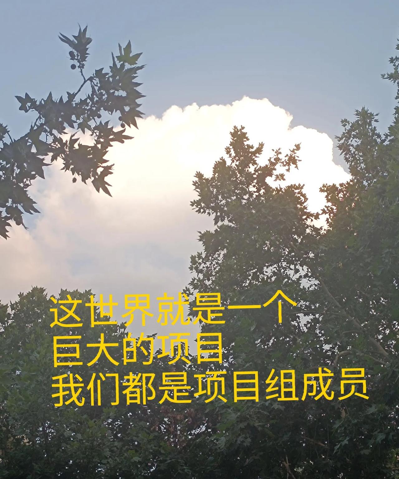 暑期档，这么多吗？
才发现 今年暑期档电影挺厉害的嘛 。不过现在已经提档了好几部