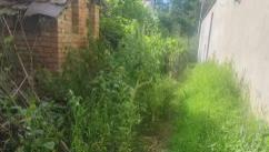 安徽淮南村民反映集体土地争议 两年信访无果：根源何在？