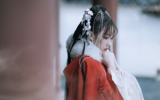 和七年前和离夫君久别重逢第一面，他就追着我求复婚，我转身离开