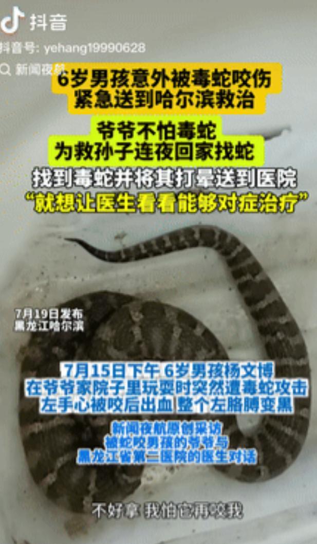 “胆子不是一般的大！”黑龙江牡丹江，一6岁男孩在爷爷家院子里玩耍时，突然遭到毒蛇