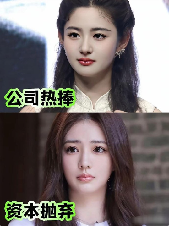 同脸不同命，一个公司热捧，一个资本抛弃。网红出身的赵晴，和科班出身的徐露，一个被
