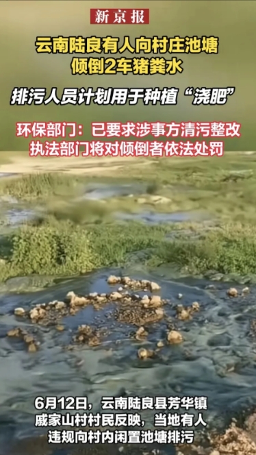 6月12日，云南陆良县芳华镇戚家山村村民反映，村内闲置池塘遭违规排污。经陆良县环