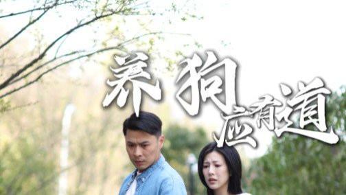 短剧《养狗应有道》全60集精彩短剧