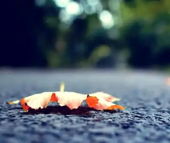 亲戚看不起你的表现：
1. 你带牛奶、水果走亲戚，对方却让你拿回去，说家里啥都不