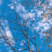 展览展会行业资讯