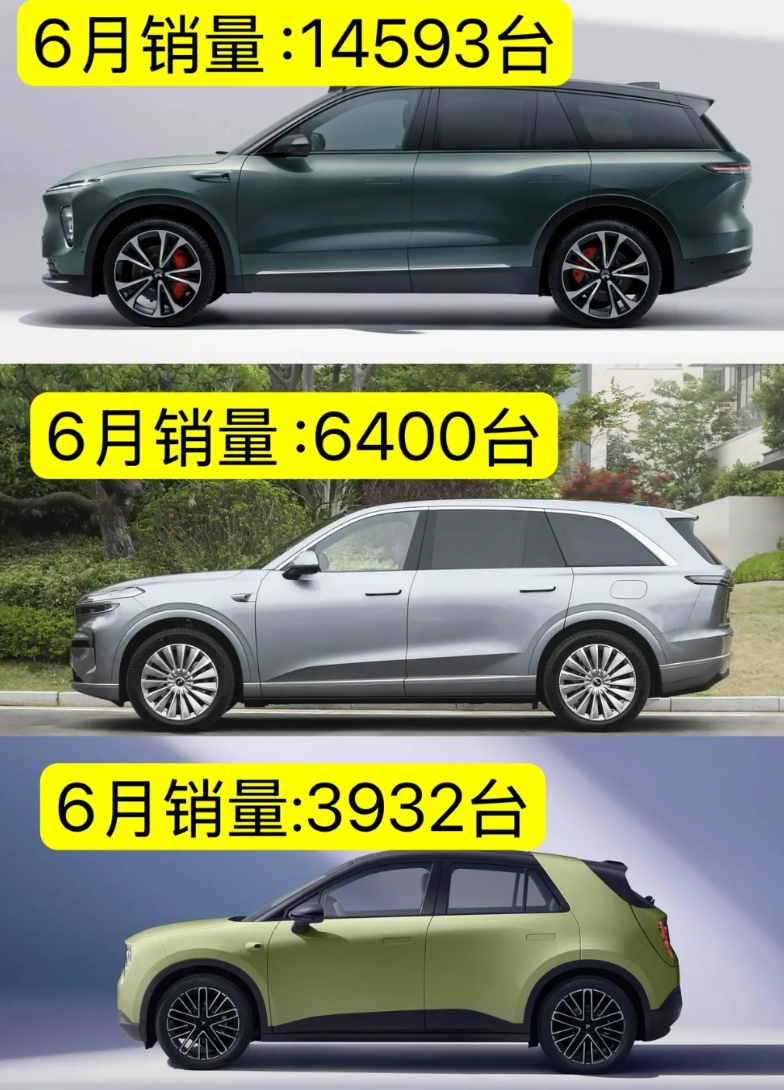 蔚来集团（蔚来、乐道、萤火虫）6月总销量24925台！不及格！
为什么蔚来汽车集