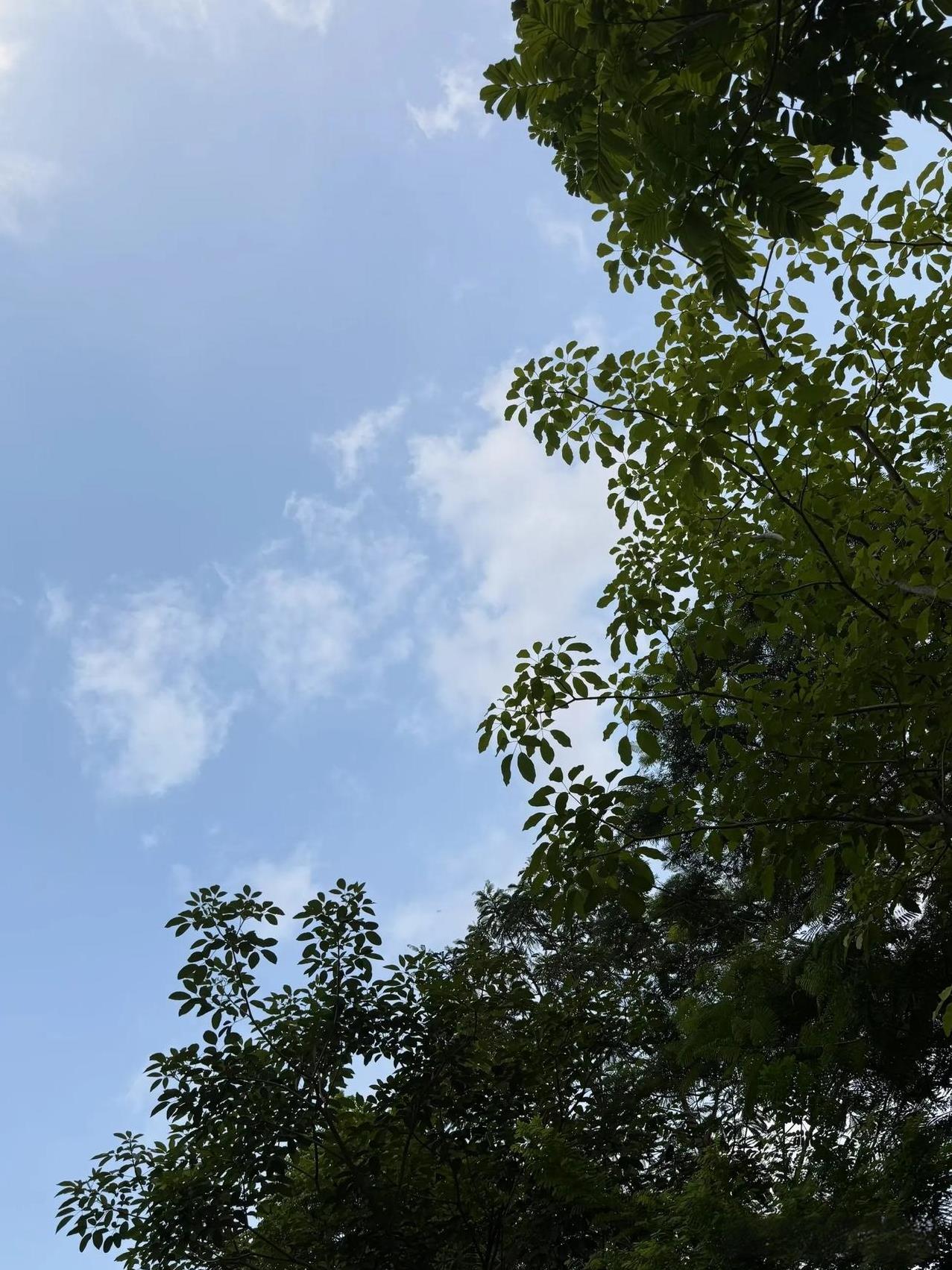 以后我再也不帮朋友找工人做事的，真的是吃力不讨好，本来朋友说没有人帮移空调，我刚