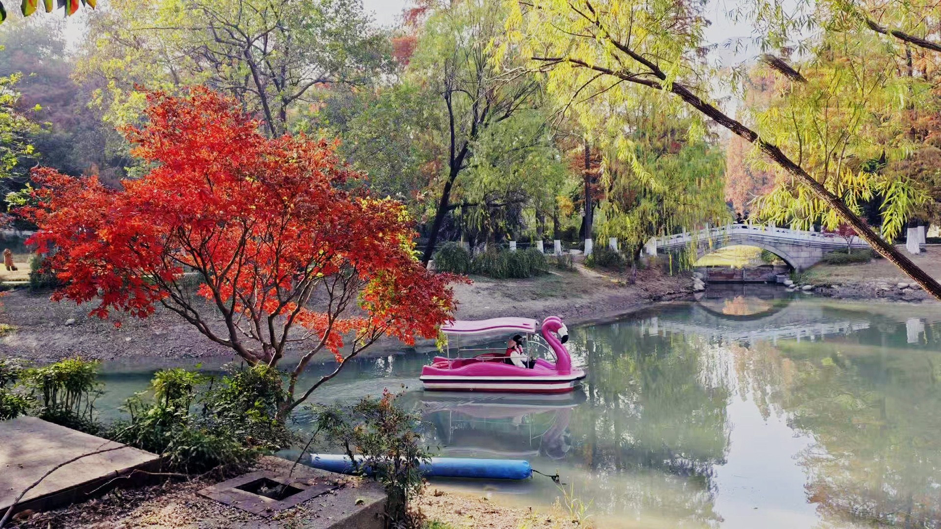 霜影下的城市绯霞