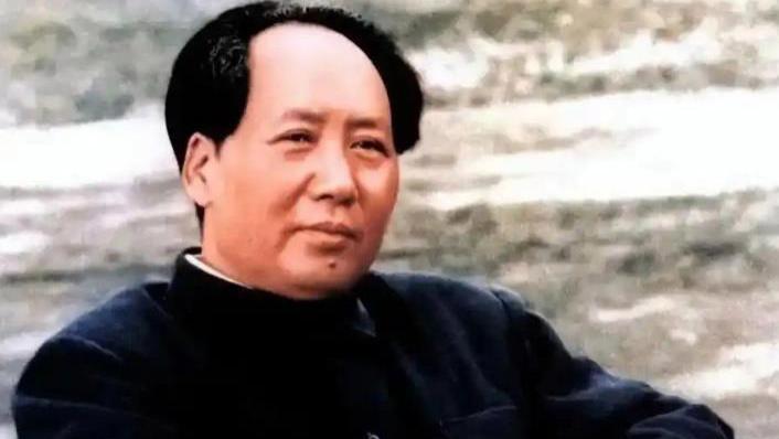 蒋介石的爱情神话VS毛主席的绿化指示：南京梧桐到底是谁种的？